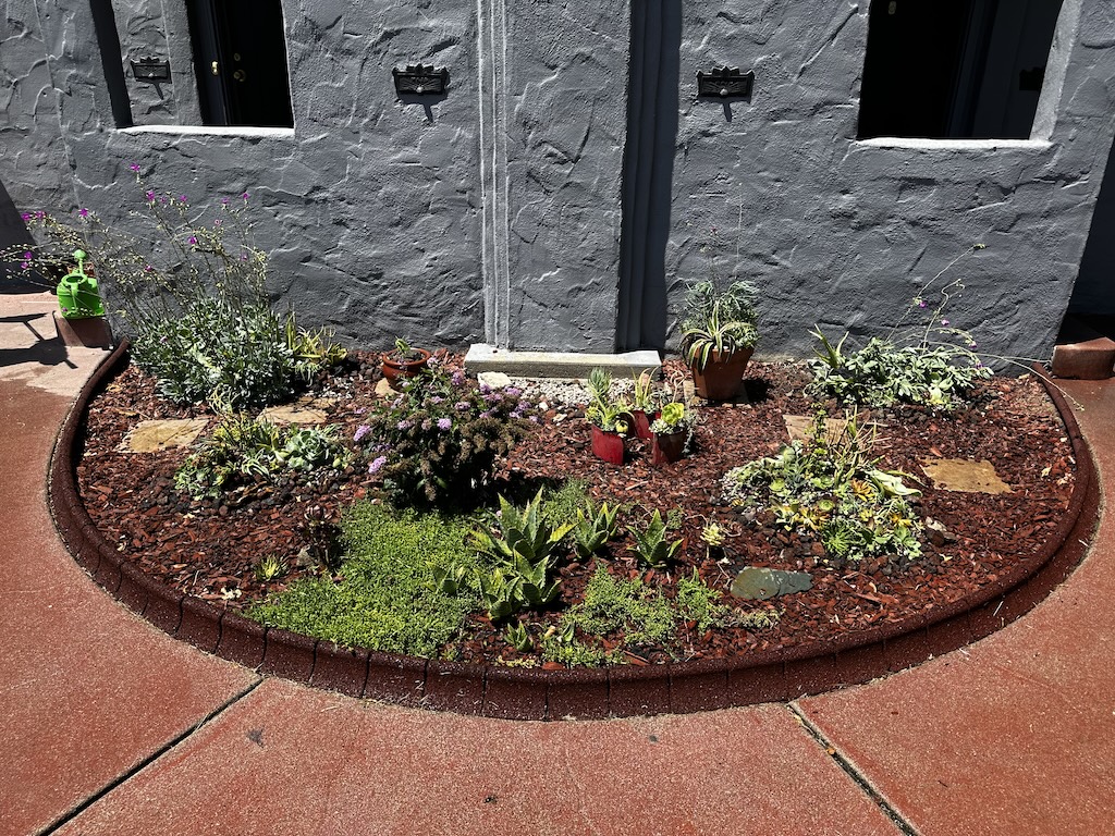 Circular Garden at apartment entrance.