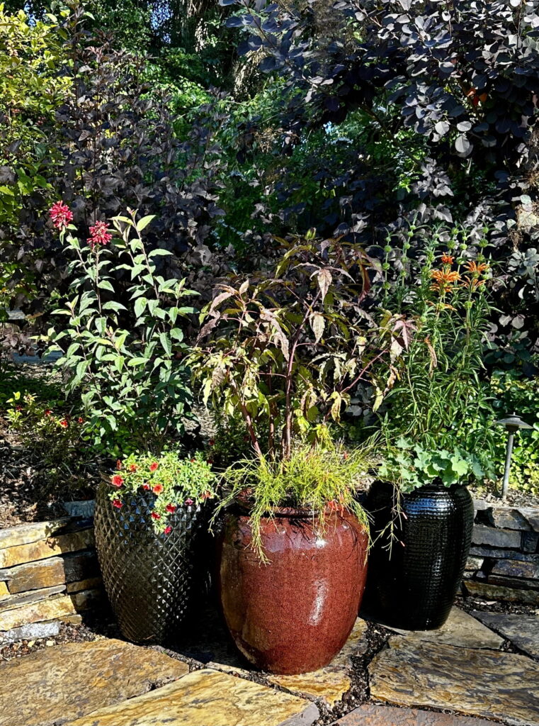 A garden with 3 large planters.